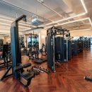 골든짐(GOLDEN GYM) 네이버블로그