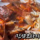 진샘코다리 이미지