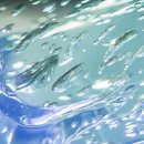 (주)신승하이켐 이미지