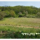 [양평전원주택지]용문산관광지 인근 마을 상단 햇살 가득한 토지 이미지