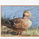 삼성에스마취통증의학과의원 이미지