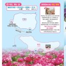 퍼플꽃순이