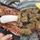 부산갈매기 | 명지국제신도시 부산을숙도맛집 부산갈매기 명지점 후기