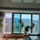 윤가이불 이미지