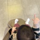 구립초롱별어린이집 | 중랑구 | 아이사랑 시간제 보육 예약, 독립반•통합반 신청, 이용 후기