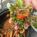 초원쌈밥 | 기장 대변 멸치쌈밥 초원횟집 솔직후기 주차 꿀팁 + 멸치축제 전 방문 후기