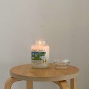 강남-282 이미지