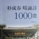 박성춘세무회계사무소