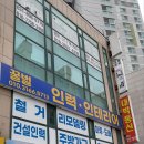 꿀벌인력