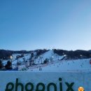 봉평별빛 이미지