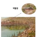 독바우 | [제38화] 월랑대의 제월정