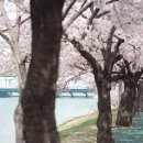 하단동1173 이미지