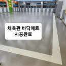 태권스토리 이미지