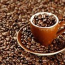 중앙헬스클럽 이미지