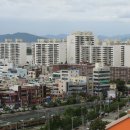 하남초(부산은행2) Daum카페