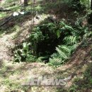 상모리-22 이미지