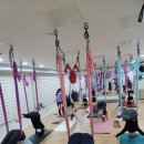 차크라요가명상센터 | 평내동요가 전문 <차크라요가 남양주센터>개인수업 만족후기