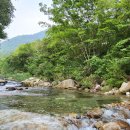 용문산장 펜션 이미지