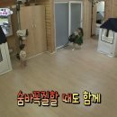 나은가방