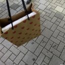 (주)이티콩 | 네가 있기에 난 행복했고 널 만난 것에 후회 한 적 없다