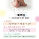 스파루체 이미지