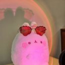 강남-132 이미지