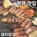 돼지띠 | 평택 삼겹살 맛집 돼지띠 솔직 후기