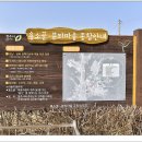 미원초 종암분교 | 미원면 종암2리 용소골풍경(米院面 鍾岩2里 용소골風景)
