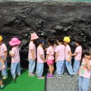 경산공룡박물관 이미지