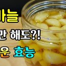 꿀마늘 그 놀라운 효능! &#34;면역력 증진에 좋은 마늘과 꿀을 동시에 이미지