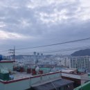 외나무약국 이미지