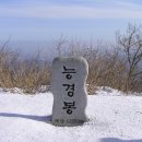 신사역 5번출구 앞 횡단보도 이미지