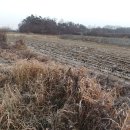 사목1리 이미지