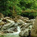 별의계곡 이미지