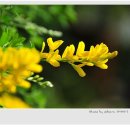 더 화인 이미지