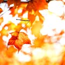 광제한의원 이미지