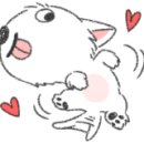 디스크독 연구소 이미지