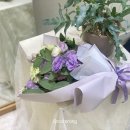 이오니플라워 이미지