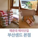부산 수제샌드 원조 찾았다! 해운대 해리단길 감성디저트 부산샌드 본점 후기