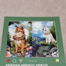 에밀리펫 | 2026 가낳지모 캣페어 Winter 펫마음카드 참여 후기