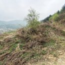 양평해담은집 공인중개사사무소 이미지