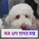 스퀘어독스 롯데남악점 이미지