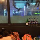 외대갈매기 이미지