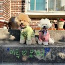 김부자댁 둘째딸 이미지