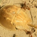 남초병설유치원 이미지