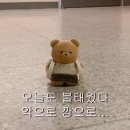 이박삼일 | 뽀짝 부산여행 ✨ 해운대·광안리 이박삼일 기록
