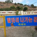 제주 자고가 이미지