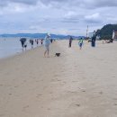 다대포해수욕장-해변가 이미지