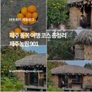 산돌농원(제1농장) | 제주 동쪽 여행 코스 추천 제주농원 901도 함께한 겨울 귤따기체험