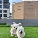 코튼빌리지 부산본점 이미지